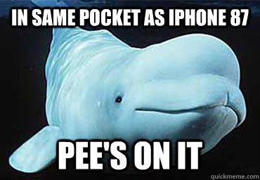 In same pocket as Iphone 87 Pee's on it - In same pocket as Iphone 87 Pee's on it  Misbehavin Pocket Whale