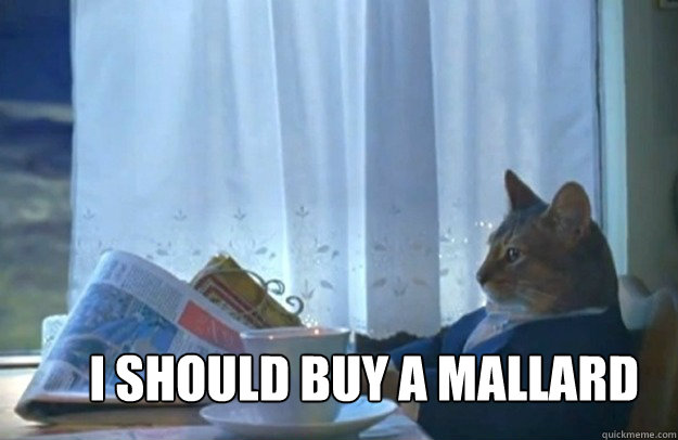 I Should buy a mallard - I Should buy a mallard  Sophisticated Cat
