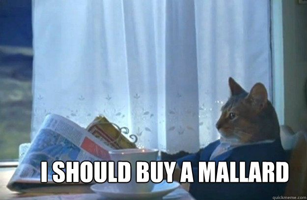 I Should buy a mallard  Sophisticated Cat