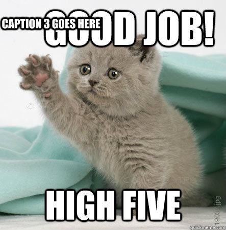 Good job! High five  Caption 3 goes here  High Five Cat