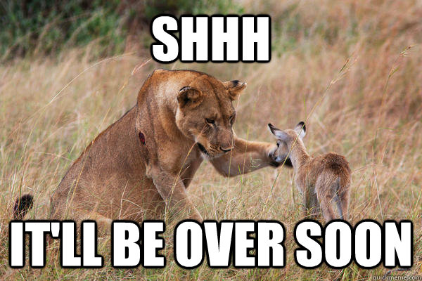 shhh It'll be over soon  Lying Lioness