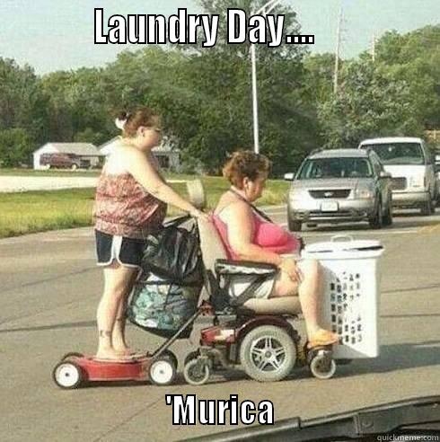            LAUNDRY DAY....                                               'MURICA                          Misc