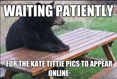 Waiting patiently  for the kate tittie pics to appear online - Waiting patiently  for the kate tittie pics to appear online  Patient bear