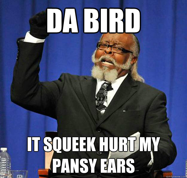 DA BIRD IT SQUEEK HURT MY PANSY EARS
  Jimmy McMillan