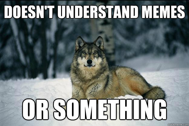 DOESN'T UNDERSTAND MEMES OR SOMETHING  Wolf