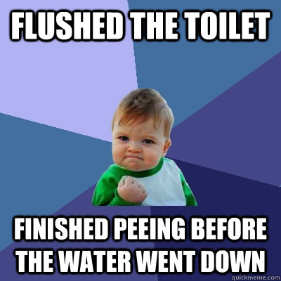 Flushed the toilet  finished peeing before the water went down  Success Kid
