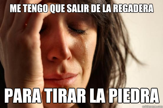 me tengo que salir de la regadera para tirar la piedra  First World Problems