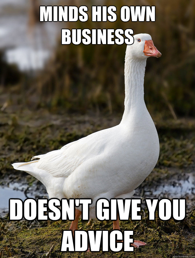 minds his own business doesn't give you advice  Good Guy Goose