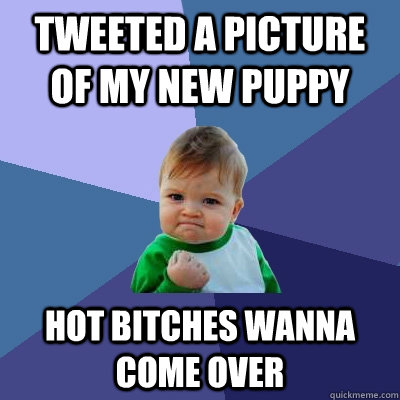 tweeted a picture of my new puppy hot bitches wanna come over  Success Kid