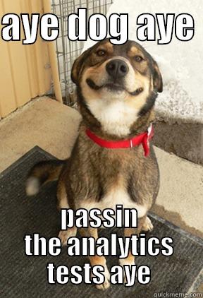 AYE DOG AYE  PASSIN THE ANALYTICS TESTS AYE Good Dog Greg