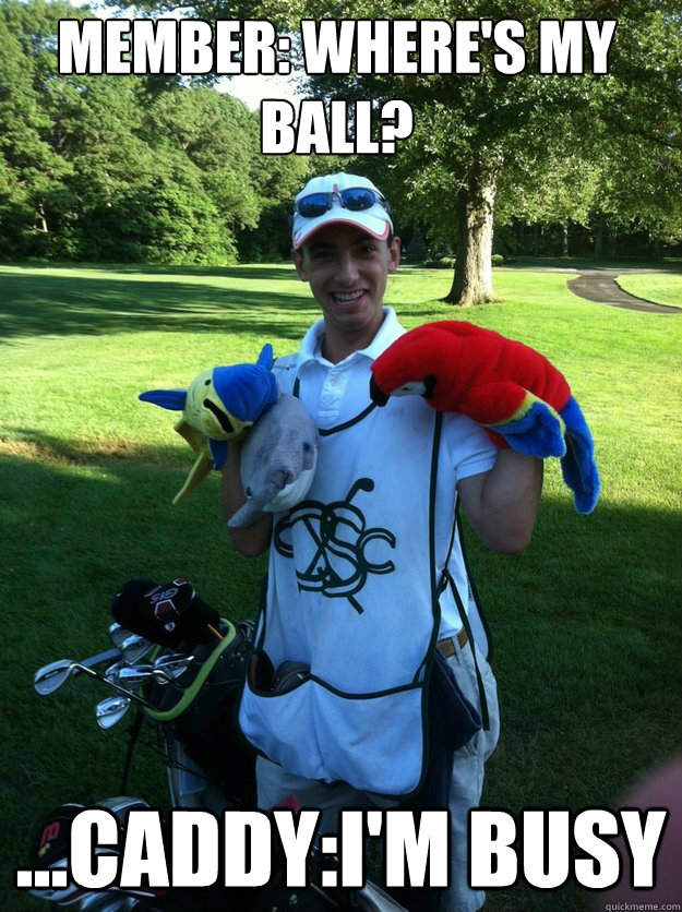 Member Where's my ball?CaddyI'm busy Caddying quickmeme