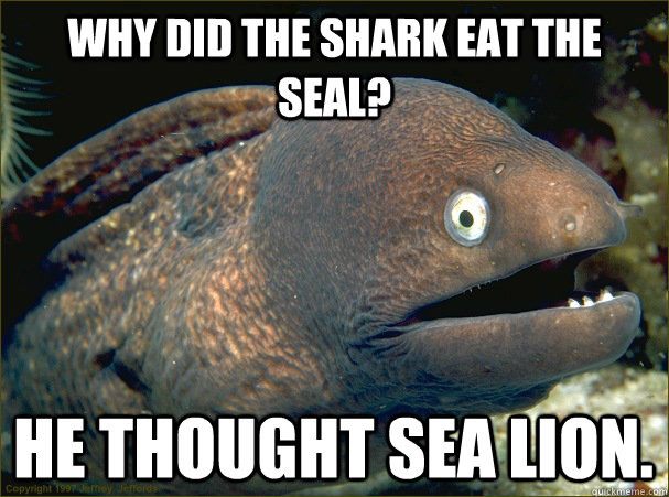 Why did the shark eat the seal? He thought sea lion.  Bad Joke Eel