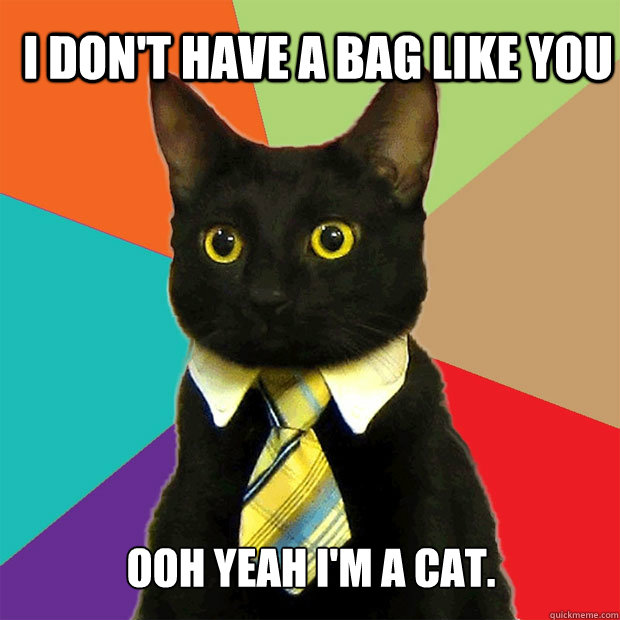 i don't have a bag like you ooh yeah i'm a cat.  Business Cat