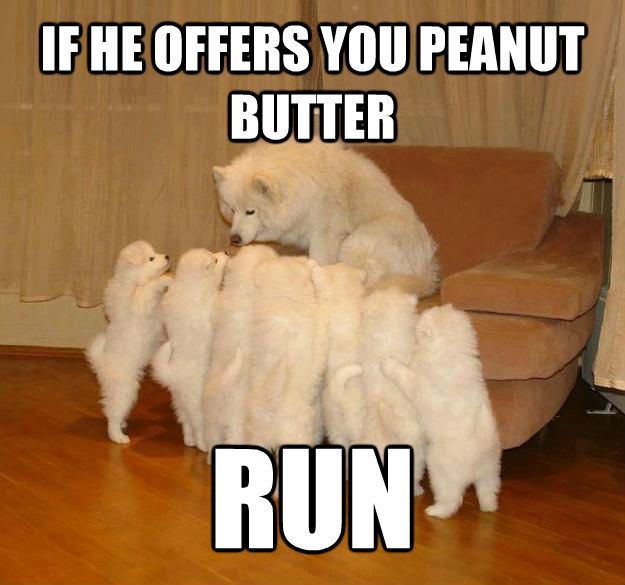 IF HE OFFERS YOU PEANUT BUTTER RUN - IF HE OFFERS YOU PEANUT BUTTER RUN  untitled meme