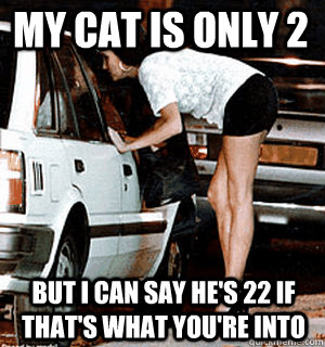 My cat is only 2 But I can say he's 22 if that's what you're into  Karma Whore