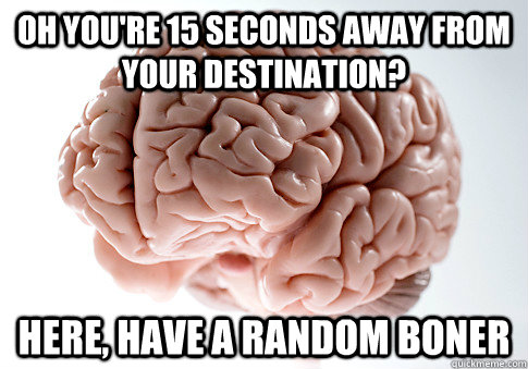 Oh you're 15 seconds away from your destination? Here, have a random boner  Scumbag Brain