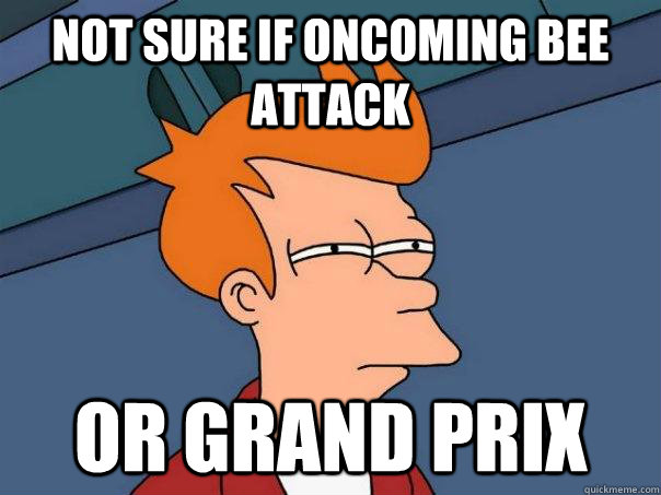 Not sure if oncoming bee attack or grand prix  Futurama Fry