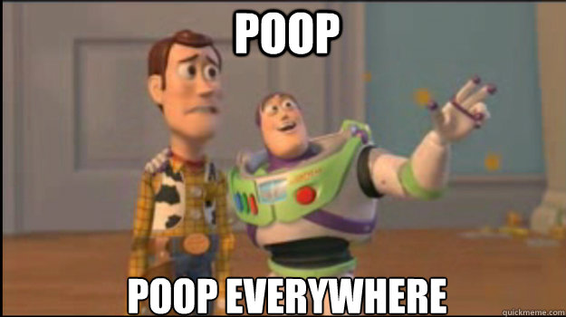 Poop poop everywhere  Buzz and Woody