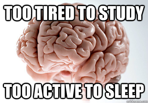 too tired to study too active to sleep  Scumbag Brain