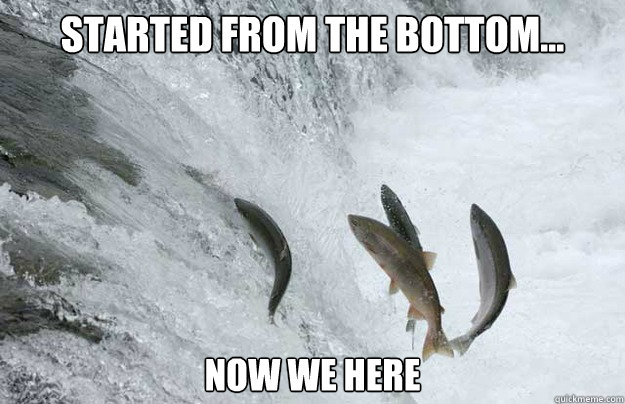 Started from the bottom... Now we here - Started from the bottom... Now we here  Fish