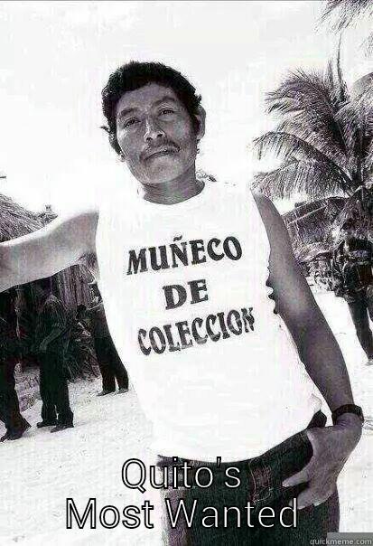  QUITO'S MOST WANTED Misc