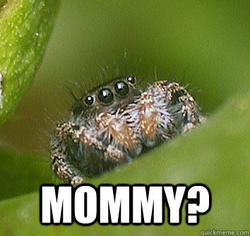  mommy? -  mommy?  Misunderstood Spider