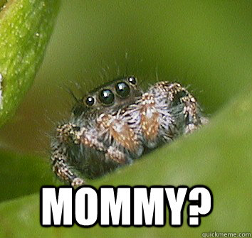  mommy?  Misunderstood Spider
