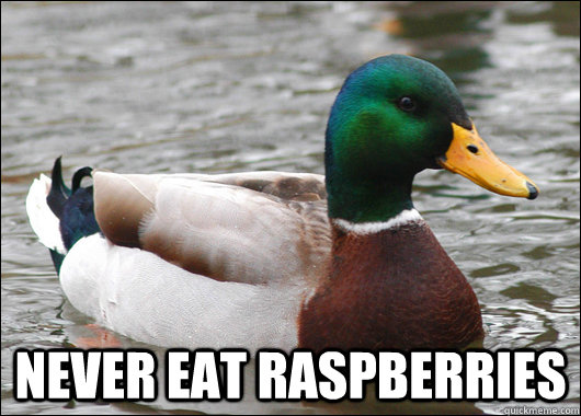  Never eat raspberries  Actual Advice Mallard