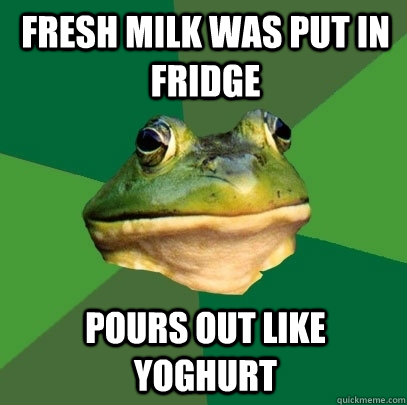 Fresh milk was put in fridge pours out like yoghurt - Fresh milk was put in fridge pours out like yoghurt  Foul Bachelor Frog