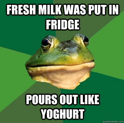Fresh milk was put in fridge pours out like yoghurt  Foul Bachelor Frog