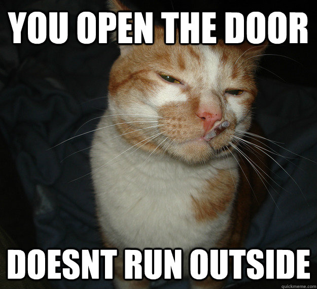 you open the door doesnt run outside  Cool Cat Craig