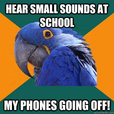Hear Small sounds at school my phones going off!  Paranoid Parrot