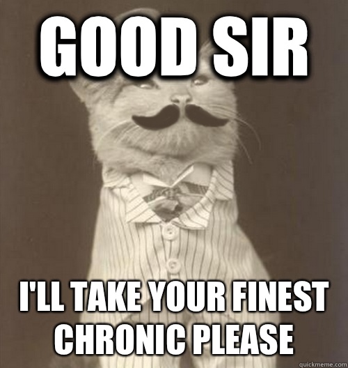 Good sir I'll take your finest chronic please  Original Business Cat