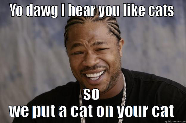 YO DAWG I HEAR YOU LIKE CATS SO WE PUT A CAT ON YOUR CAT Xzibit meme