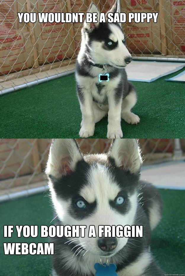 You wouldnt be a sad puppy



 if you bought a friggin webcam  Insanity puppy