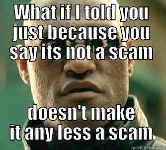 WHAT IF I TOLD YOU JUST BECAUSE YOU SAY ITS NOT A SCAM DOESN'T MAKE IT ANY LESS A SCAM Matrix Morpheus