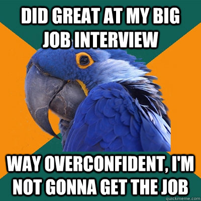 did great at my big job interview way overconfident, I'm not gonna get the job  Paranoid Parrot