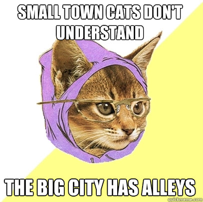 small town cats don't understand the big city has alleys  Hipster Kitty