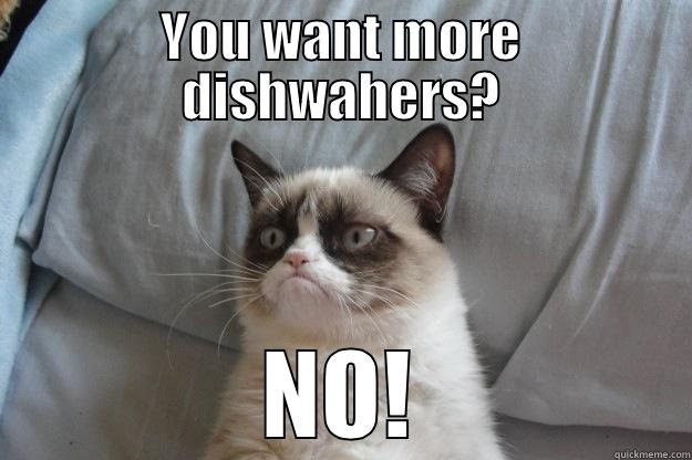 You want more dishwashers - YOU WANT MORE DISHWAHERS? NO! Grumpy Cat