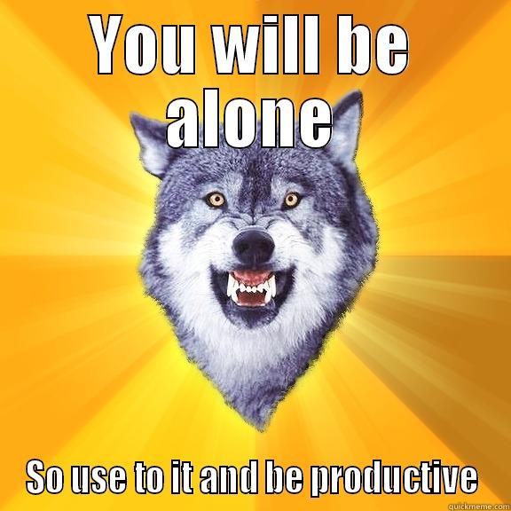 YOU WILL BE ALONE SO USE TO IT AND BE PRODUCTIVE Courage Wolf