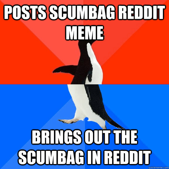 posts scumbag reddit meme brings out the scumbag in reddit  Socially Awesome Awkward Penguin