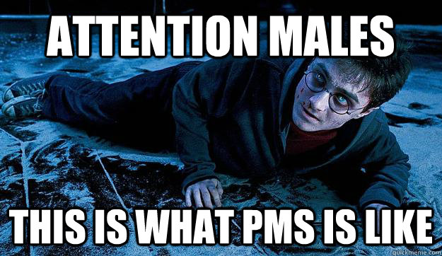 Attention Males This is what PMS is like  