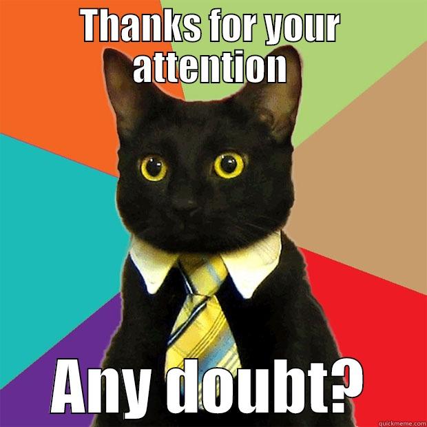 Any doubt? - THANKS FOR YOUR ATTENTION ANY DOUBT? Business Cat