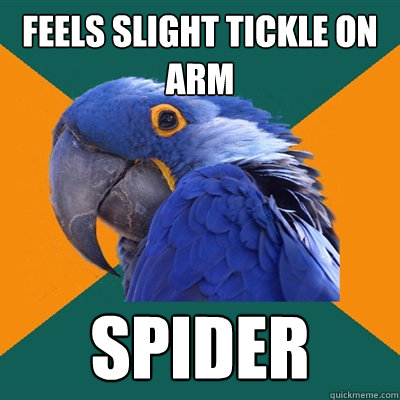 feels slight tickle on arm SPIDER  Paranoid Parrot