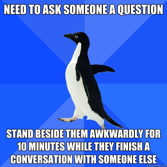 Need to ask someone a question Stand beside them awkwardly for 10 minutes while they finish a conversation with someone else - Need to ask someone a question Stand beside them awkwardly for 10 minutes while they finish a conversation with someone else  Socially Awkward Penguin