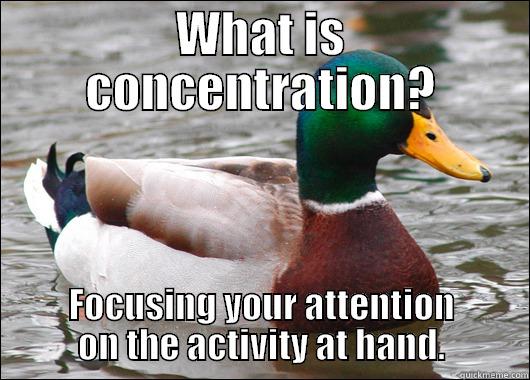WHAT IS CONCENTRATION? FOCUSING YOUR ATTENTION ON THE ACTIVITY AT HAND. Actual Advice Mallard