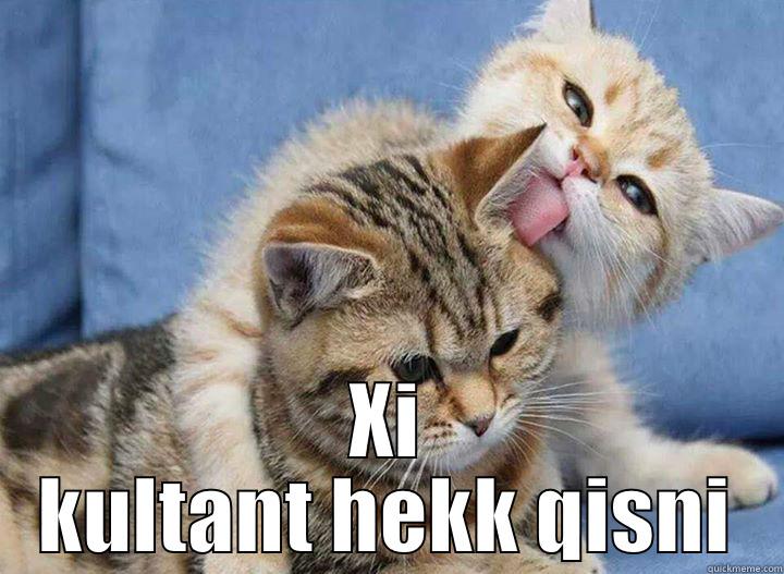 kiss kat -  XI KULTANT HEKK QISNI Misc