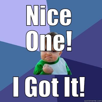 NICE ONE! I GOT IT! Success Kid