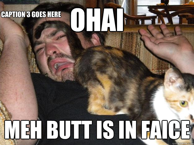OHAI Meh butt is in faice Caption 3 goes here  