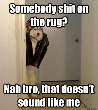 Somebody shit on the rug? Nah bro, that doesn't sound like me  Scumbag dog